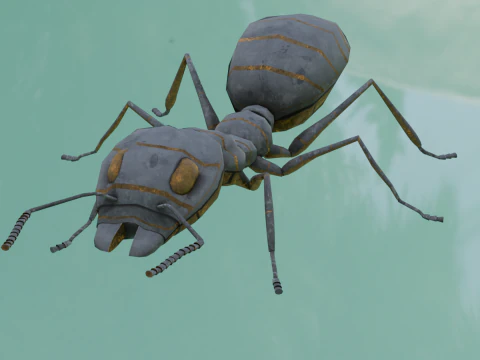 Ant Animated and Rigged 3D Model