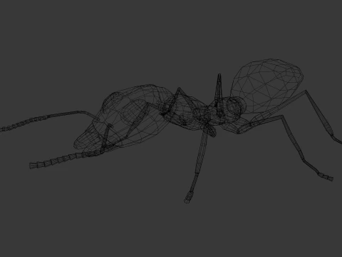 Ant Animated and Rigged 3D Model
