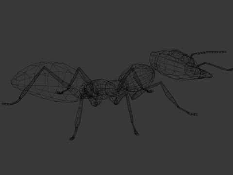 Ant Animated and Rigged 3D Модель