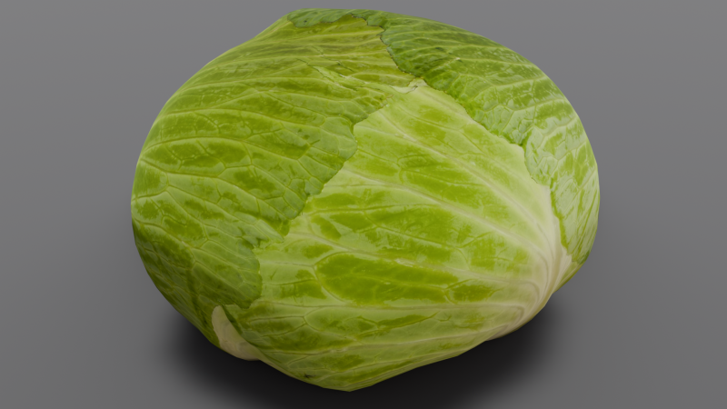 Cabbage 3D Модель .c4d .max .obj .3ds .fbx .stl .blend 