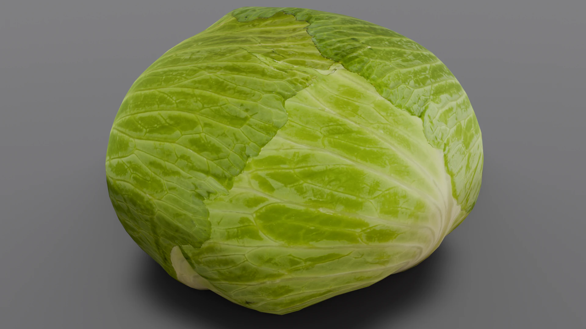 Cabbage 3D Model .c4d .max .obj .3ds .fbx .stl .blend 