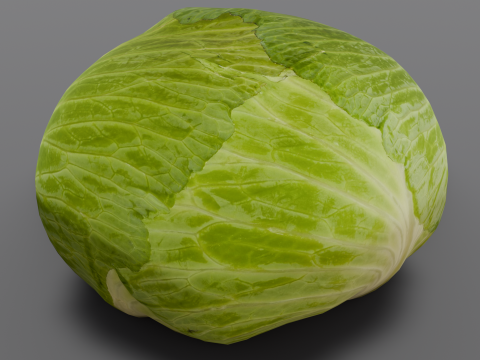 Cabbage 3D Model