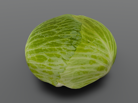 Cabbage 3D Модель