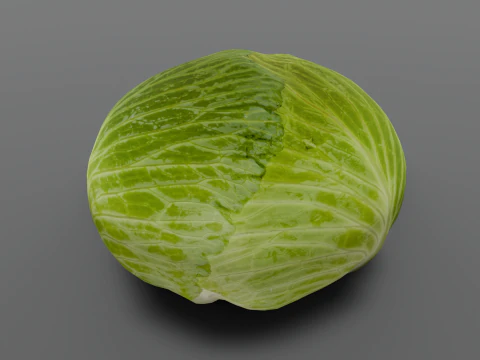 Cabbage 3D Model
