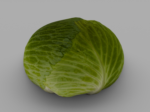 Cabbage 3D Модель