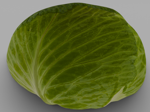 Cabbage 3D Модель