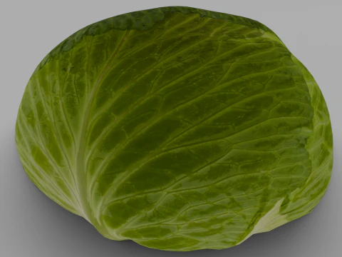 Cabbage 3D Model