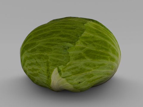 Cabbage 3D Модель