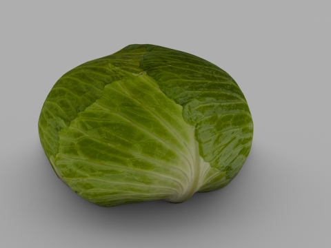 Cabbage 3D Модель