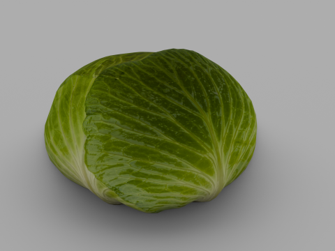 Cabbage 3D Модель