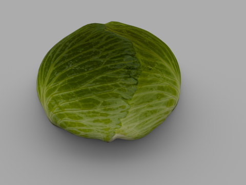 Cabbage 3D Модель