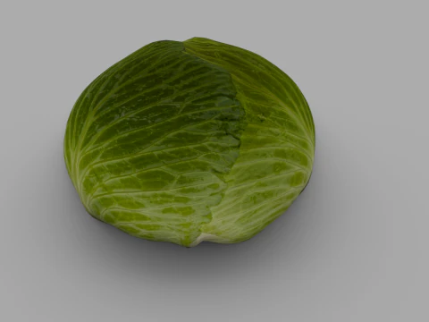 Cabbage 3D Model