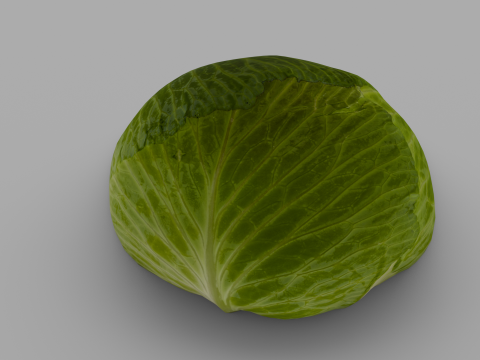 Cabbage 3D Модель