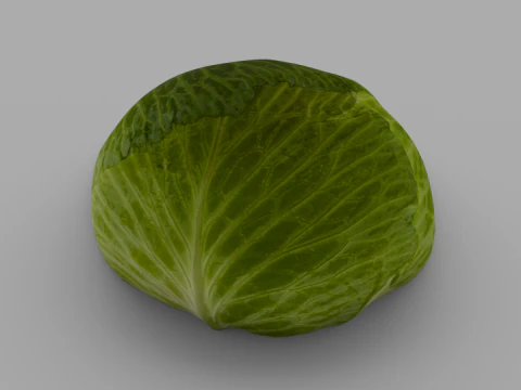 Cabbage 3D Model