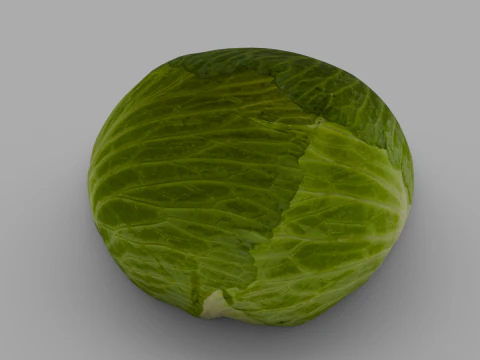 Cabbage 3D Model