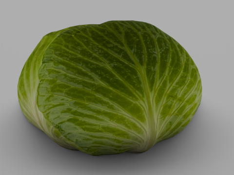 Cabbage 3D Модель