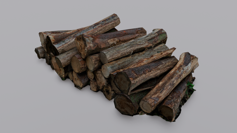 The Wood model 3D Model .c4d .max .obj .3ds .fbx .stl .blend 