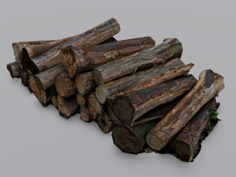 The Wood model 3D Model
