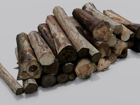 The Wood model 3D Model