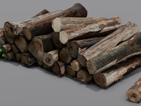 The Wood model 3D Model