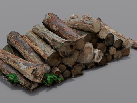 The Wood model 3D Model