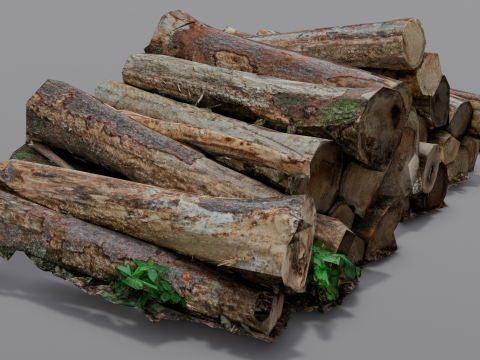 The Wood model 3D Model