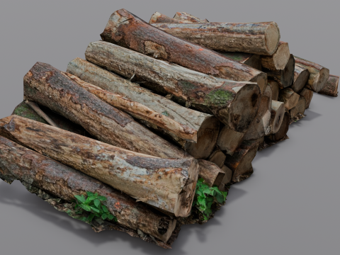 The Wood model 3D Model