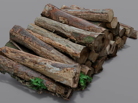The Wood model 3D Model