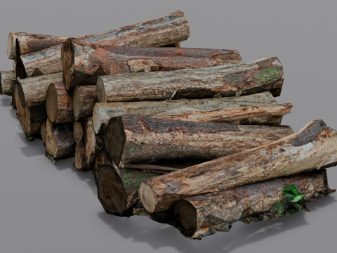 The Wood model 3D Model