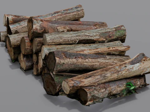 The Wood model 3D Model