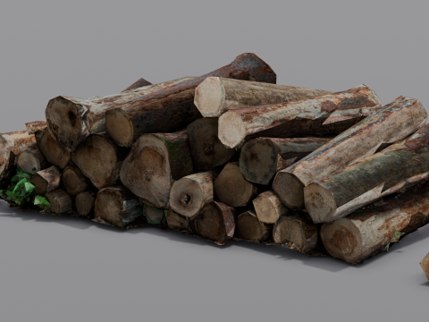 The Wood model 3D Model
