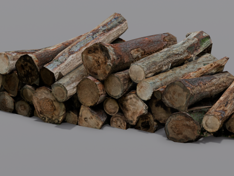 The Wood model 3D Model