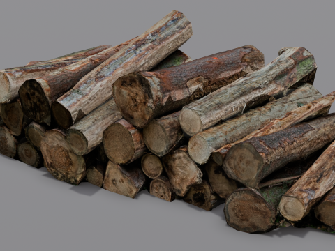 The Wood model 3D Model