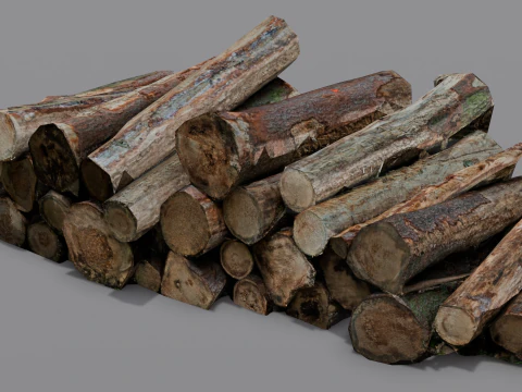 The Wood model 3D Model