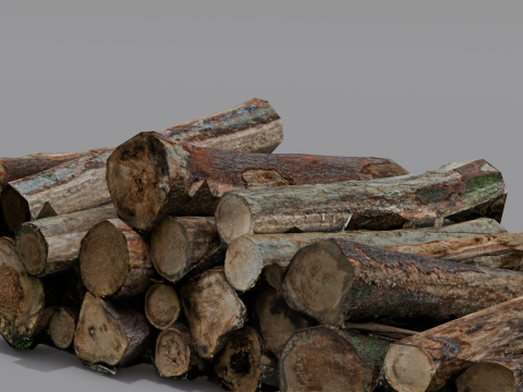 The Wood model 3D Model
