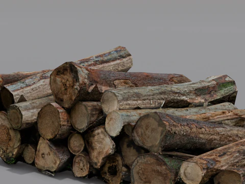 The Wood model 3D Model