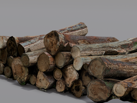 The Wood model 3D Model