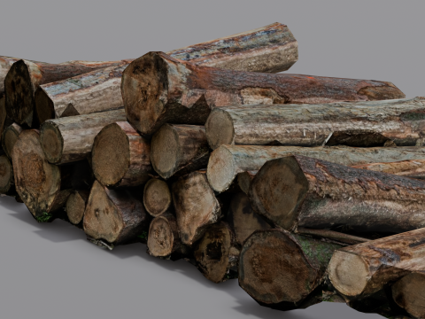 The Wood model 3D Model