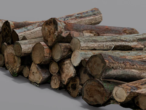 The Wood model 3D Model