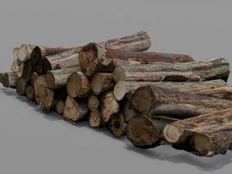 The Wood model 3D Model