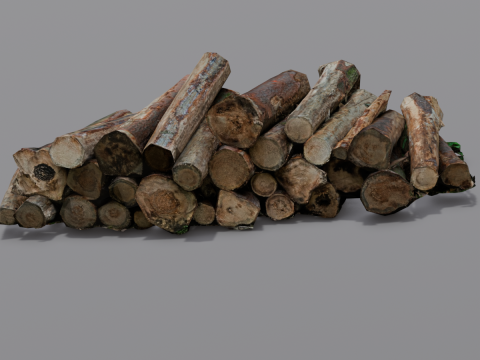 The Wood model 3D Model