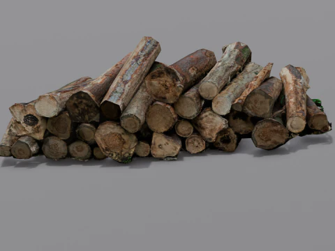 The Wood model 3D Model