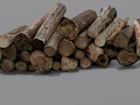 The Wood model 3D Model