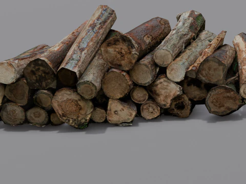 The Wood model 3D Model