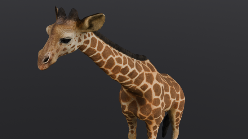 Giraffe 3D-Modell .c4d .max .obj .3ds .fbx .stl .blend 