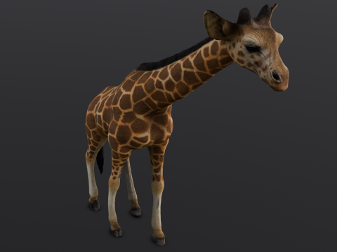 Giraffe 3D-Modell