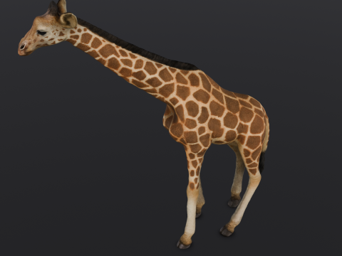 Giraffe 3D-Modell