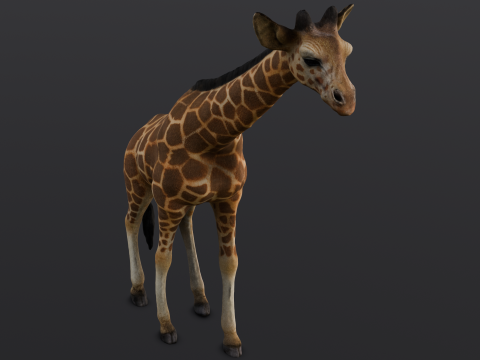 Giraffe 3D-Modell