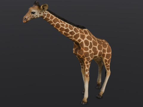Giraffe 3D-Modell