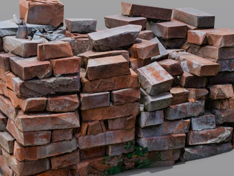 The Bricks 3D Model